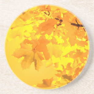 Yellow Maple Sandstone Coaster