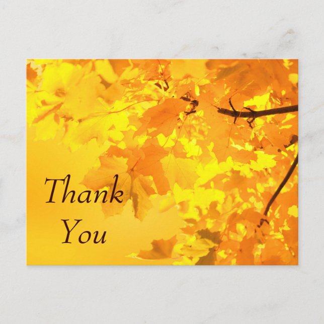 Yellow Maple Thank You Postcard (Front)