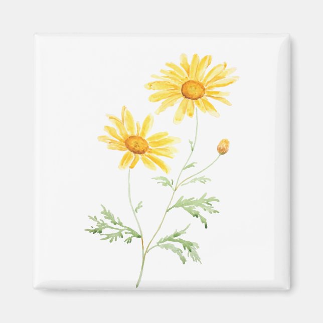 Yellow Margaret daisy watercolor Magnet (Front)