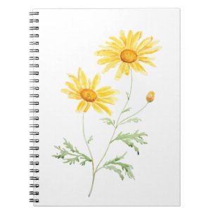Yellow Margaret daisy watercolor Notebook