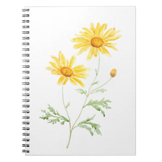 Yellow Margaret daisy watercolor Notebook
