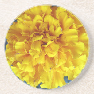 Yellow Marigold Coaster