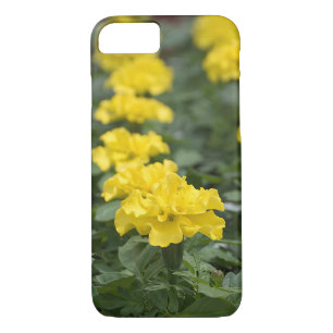 yellow marigold flower iPhone 8/7 case