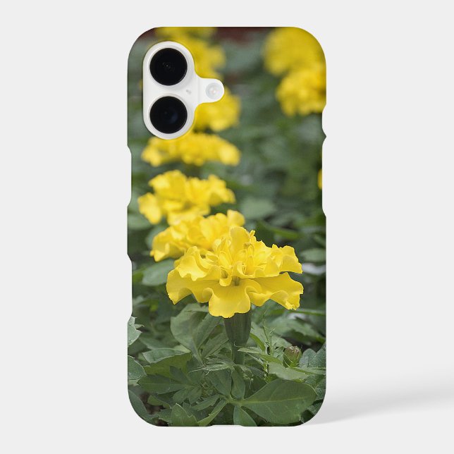 Yellow Marigold Flower Garden (Back)