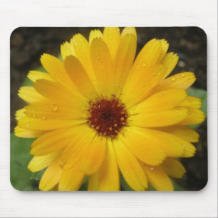 Yellow Marigold Macro Mousepad