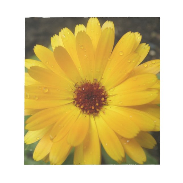 Yellow Marigold Macro Notepad (Front)