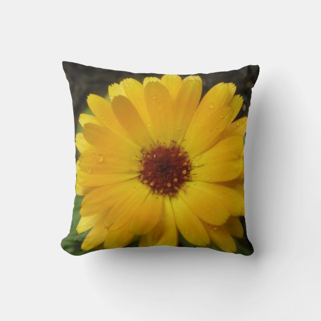 Yellow Marigold Macro Pillow (Front)