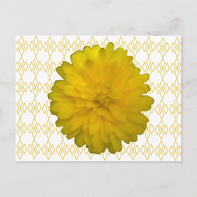 Yellow Marigold Postcard (Front)
