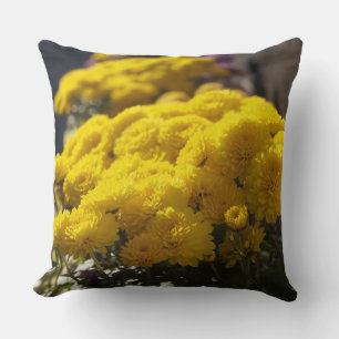 Yellow marigolds bask in sunlight cushion