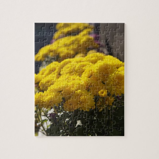 Yellow marigolds bask in sunlight jigsaw puzzle (Vertical)