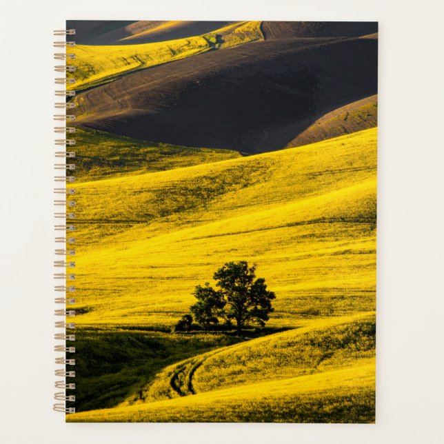 Yellow meadow field in the wind planner (Front)