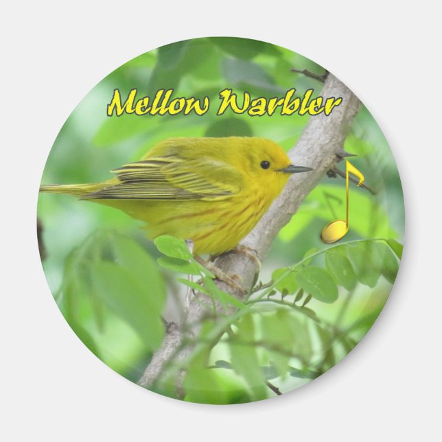 Yellow (Mellow) Warbler magnet (Front)
