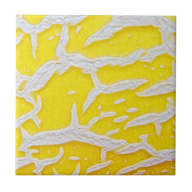 Yellow melon pattern ceramic tile (Front)
