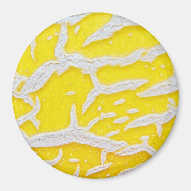 Yellow melon pattern  magnet (Front)