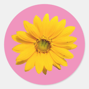 Yellow Mini Sunflower - Tiny Baby Sunflower Flower Classic Round Sticker