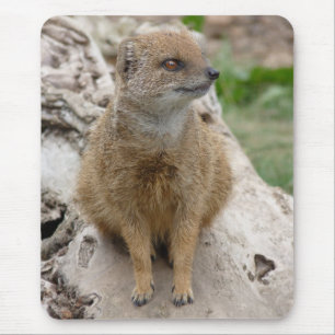 Yellow mongoose mouse pad