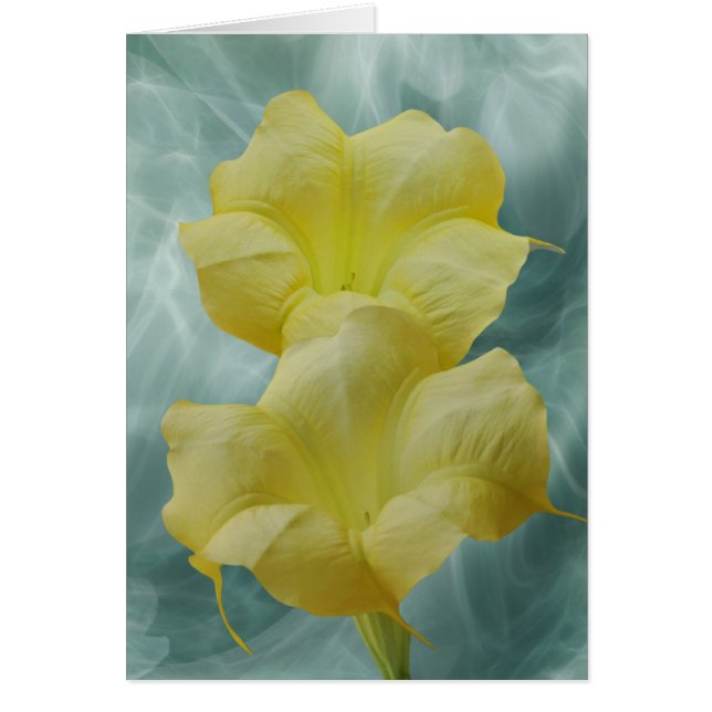 Yellow Moon flower (Front)