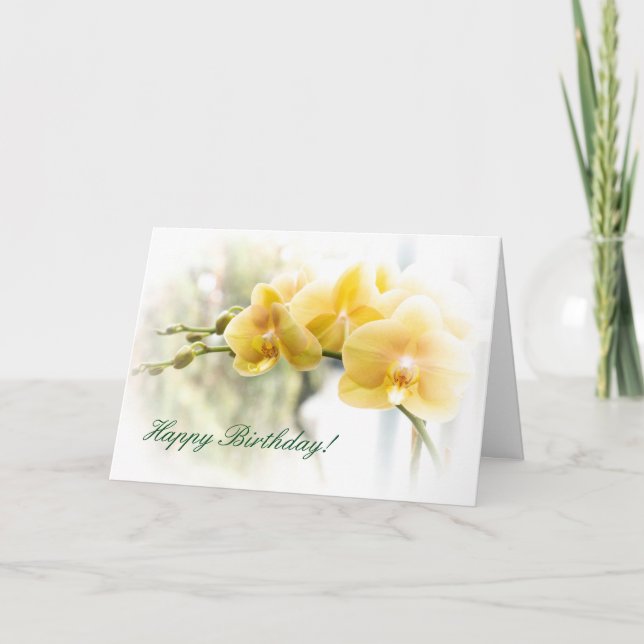 Yellow Moth Orchid in Sunshine Card (Front)