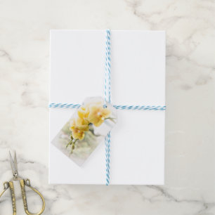 Yellow Moth Orchid in Sunshine Gift Tags