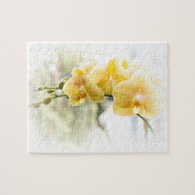 Yellow Moth Orchid in Sunshine Jigsaw Puzzle (Horizontal)