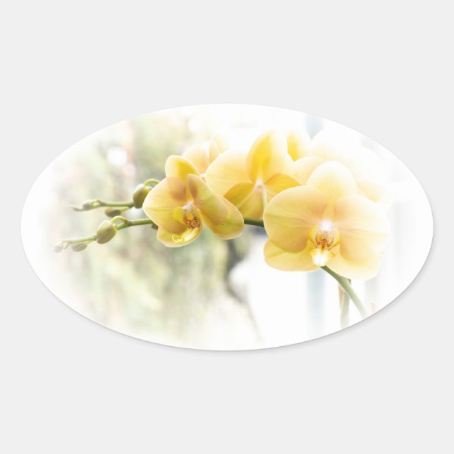 Yellow Moth Orchid in Sunshine Oval Sticker (Front)