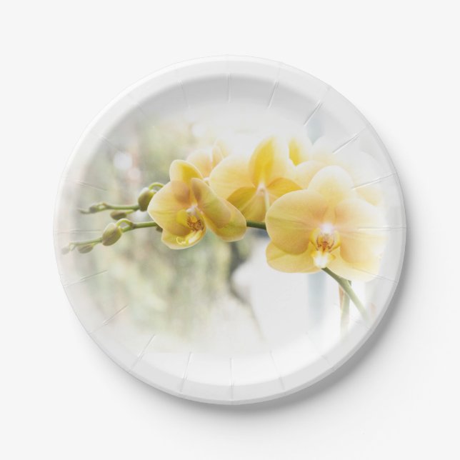 Yellow Moth Orchid in Sunshine Paper Plate (Front)