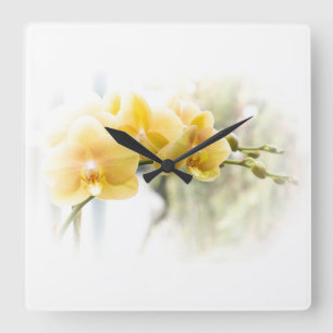 Yellow Moth Orchid in Sunshine Square Wall Clock