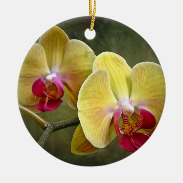 Yellow Moth Orchids - Phalaenopsis Ceramic Tree Decoration (Front)