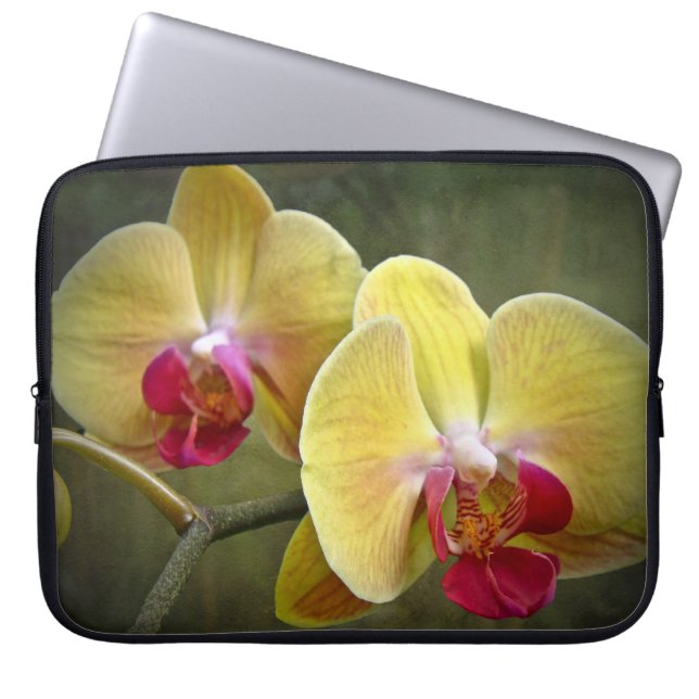Yellow Moth Orchids - Phalaenopsis Laptop Sleeve (Front)