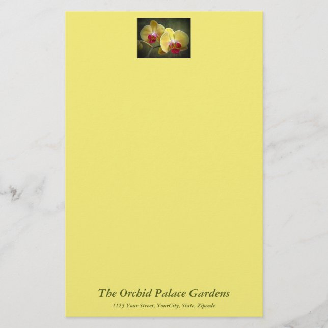 Yellow Moth Orchids - Phalaenopsis Stationery (Front)