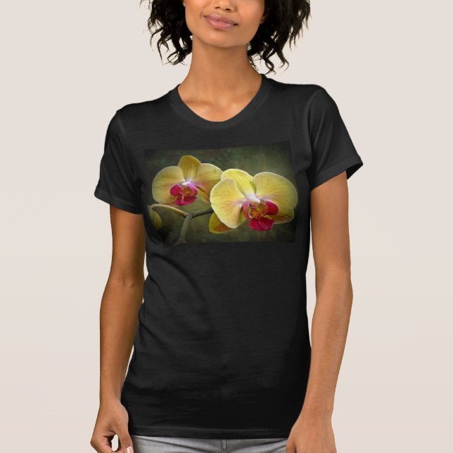 Yellow Moth Orchids - Phalaenopsis T-Shirt (Front)
