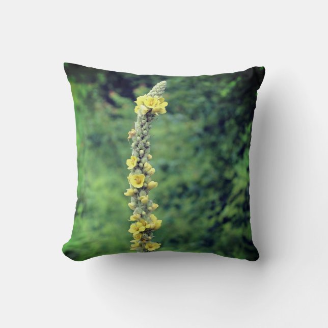 Yellow Mullein Wildflower   Cushion (Front)