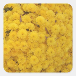 "Yellow Mums" Sticker