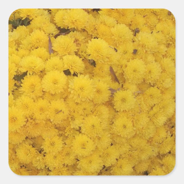 "Yellow Mums" Sticker (Front)
