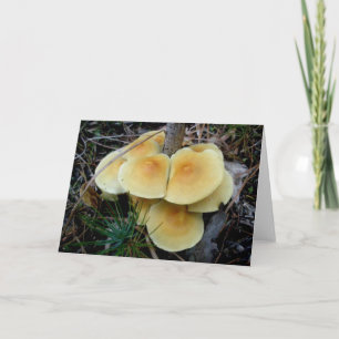 Yellow Mushroom Colony OBX Note Card