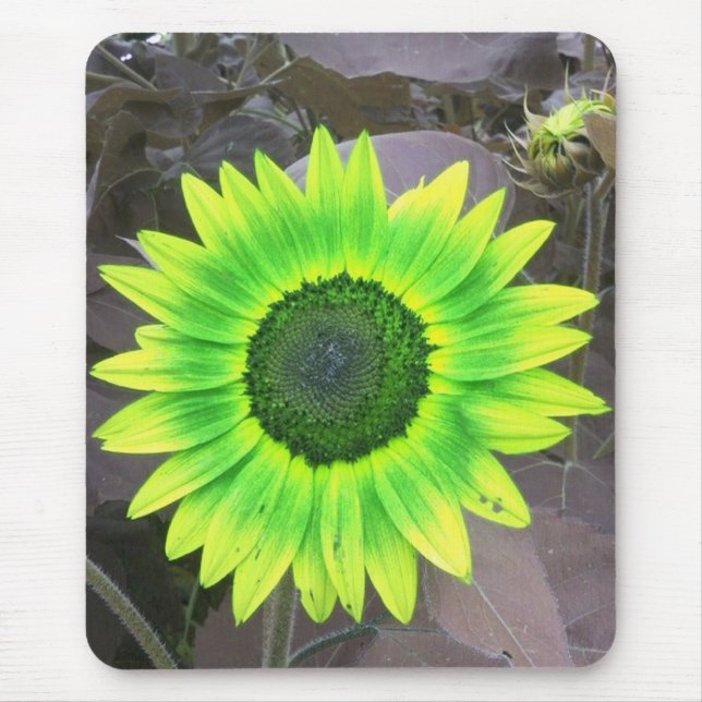 Yellow N Green Sunflower Mousepad (Front)