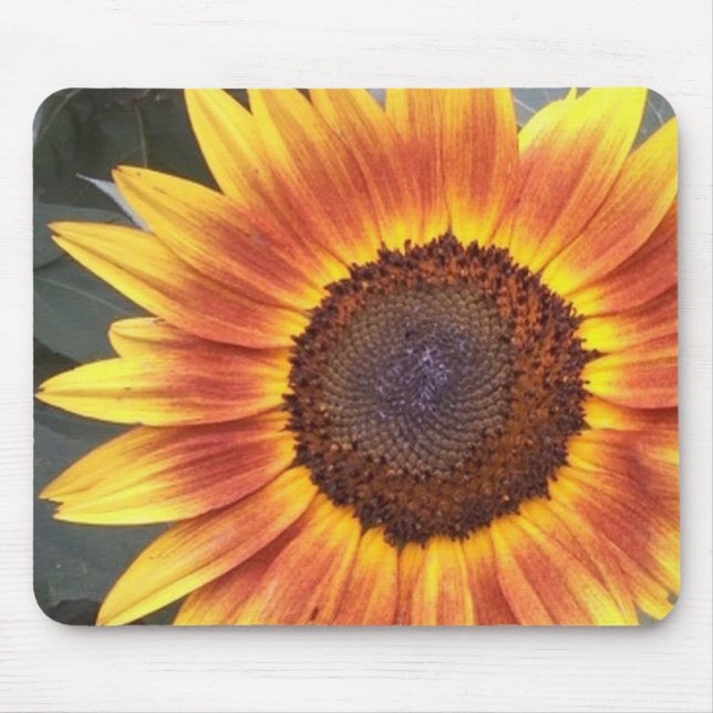 Yellow N Orange Sunflower mousepad (Front)