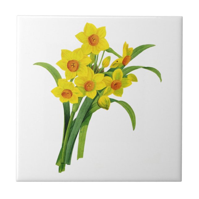 Yellow Narcissus by Pierre Joseph Redoute Ceramic Tile (Front)