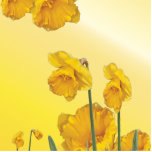 Yellow Narcissus Daffodil Photo Sculpture Decoration<br><div class="desc">Yellow Narcissus Daffodil</div>