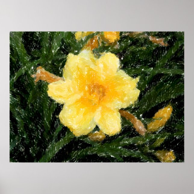 yellow Narcissus Flower abstract original art  Poster (Front)