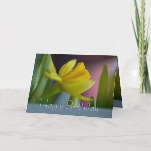 Yellow narcissus flower CC0743 Happy Birthday Card