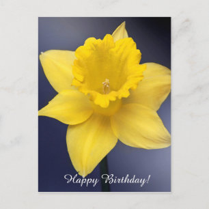 Yellow Narcissus Flower Floral watercolor paint Postcard