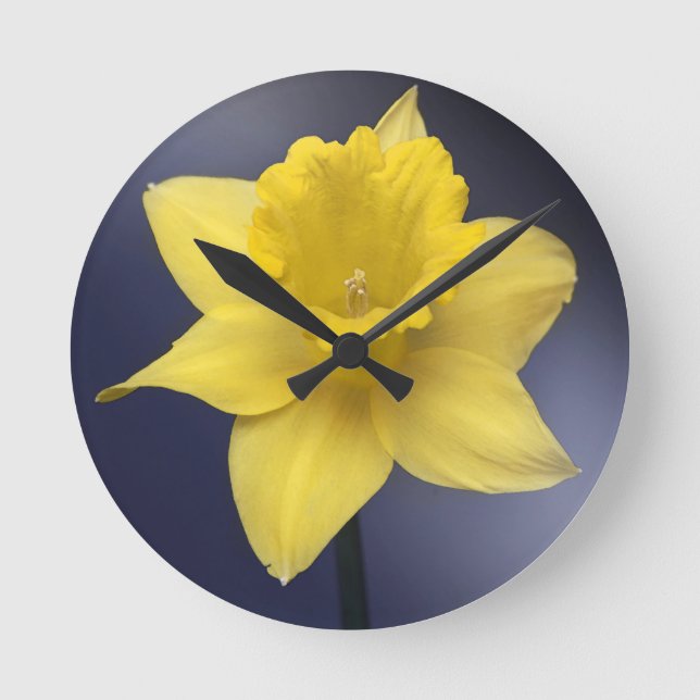 Yellow Narcissus Flower Floral watercolor paint Round Clock (Front)