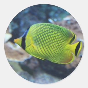 Yellow Neon Fish Classic Round Sticker