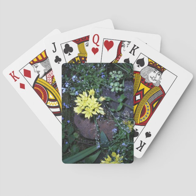 Yellow Night Flowers Photo Playing Cards (Back)