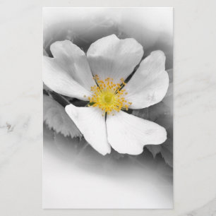 yellow on shades of grey stationery