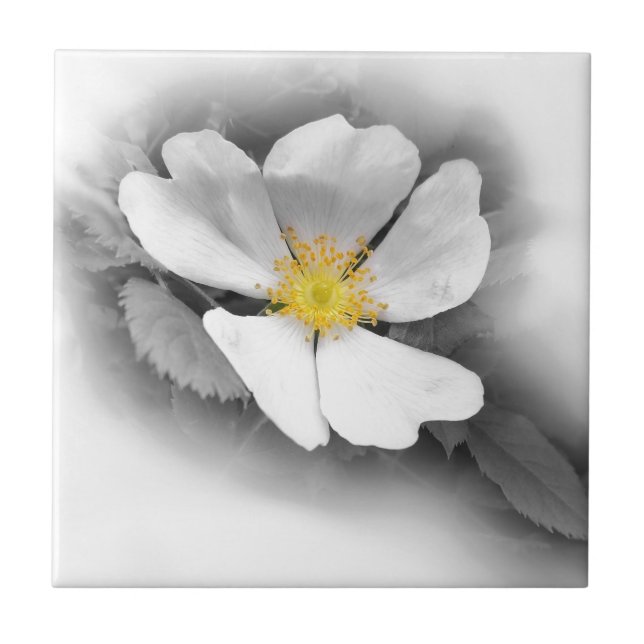 yellow on shades of grey tile (Front)