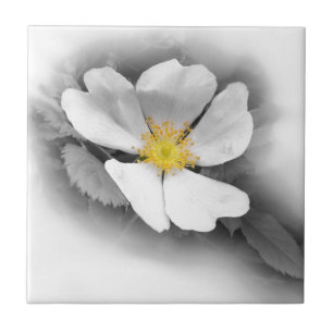 yellow on shades of grey tile