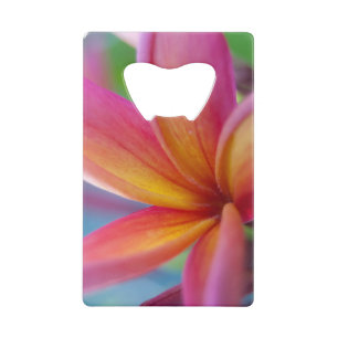Yellow Orange Deep Pink Tropical Plumeria Flower