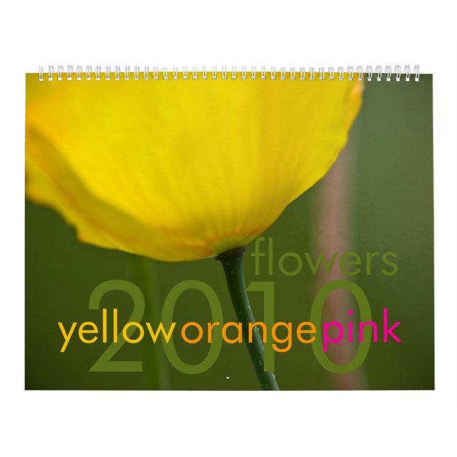 Yellow Orange Pink Flowers 2010 Calendar (Cover)
